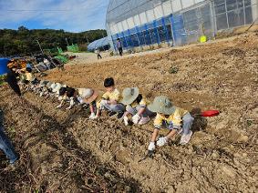 행복텃밭 현장체험학습(10.20.~10.24.)